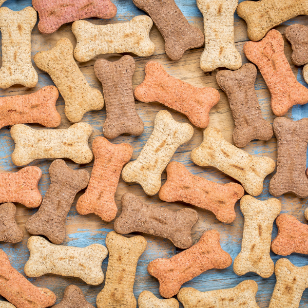 Alimenti Per Animali Domestici Che Includono Ossa Amici e Natura iTALIA Alimenti Per Animali Domestici Che Includono Ossa Amici e Natura iTALIA